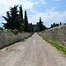 auf dem Weg zum Eremo della Rocca