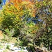 Herbst in den Ammergauer Bergen