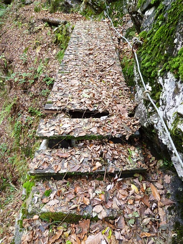 ..über äusserst rutschige Holzbrücken.... - Fotos [hikr.org]
