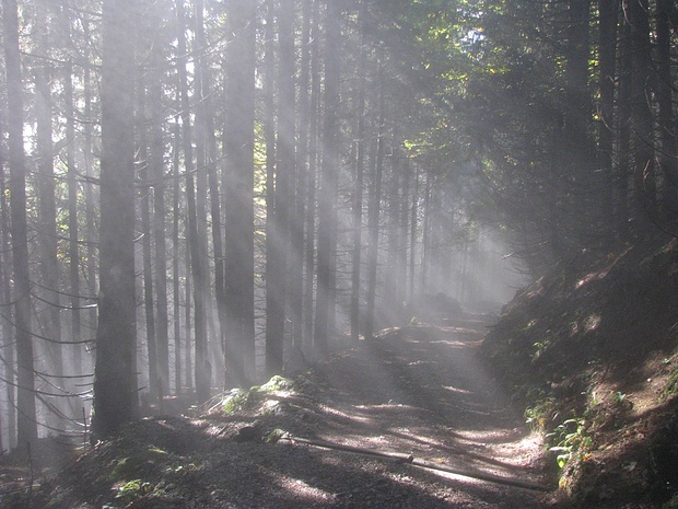 Nebelstimmung am Normalweg