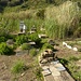 alter Friedhof Stromboli