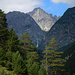Die Steinkarspitze von der Alfutz Alpe aus gesehen