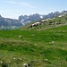 Sicht von der Alp Sigel