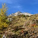 Herbst in den schönen Tuxer Alpen