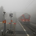 Der Regio nach Tirano wartet im Nebel auf der Alp Grüm