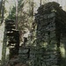 Ruinen im Wald