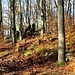 Heuneburg, die Überreste des alten Ringwalls