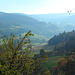 Blick vom Schloss hinunter ins Fischbachtal