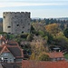 Das Bollwerk