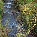 Der Fischbach in Billings