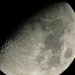 Der Mond am Vorabend in einer Nebelpause im Flachland.<br /><br />La luna nella sera prededente in una pausa della nebbia nella pianura.