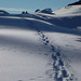 Spuren im Schnee
