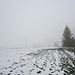 Nebel...