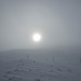 ...der Sonne entgegen !