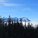 Blick zum König des Alpsteins