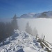 Zurück im Nebel...