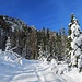 zauberhafte Winterlandschaft beim Aufstieg zur Kaserhütte