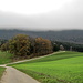 über die Asphaltstrasse zum Wald von La Joux