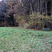 hier geht es in den Wald hinein