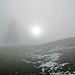 die Sonne versucht den Nebel zu vertreiben