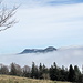 schaut gerade noch aus dem Nebel raus