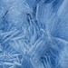 Spuren des nahenden Winters
