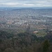 Blick vom Aussichtsturm auf die Stadt Zürich.