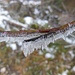 Es wird Winter....
