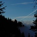 Endlich raus aus dem Nebel