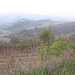 Panorama, con foschia, da Berzano di Tortona.