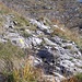 una delle numerose placche rocciose della zona
