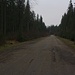Nach einer Abzwigung hinter Ворохта (Vorochta) führt eine Strasse durch tiefen Nadelwald zum Eingang des Nationalparks.