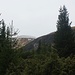 In der Ferne taucht der Gipfel Говерла (Hoverla; 2060,8m) auf.