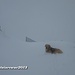 Nach obenhin nimmt die Schneemächtigkeit ganz schön zu
