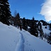 Il sentiero dai 1600 ai 1750 mt sale con un lungo e dolce traverso.
Con la neve è sicuramente il tratto più bello