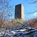 Turm der Ruine Scharfenberg