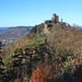 Burg Trifels, im Tal nördlich davor der Ort Annweiler