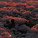 In der Abendsonne karamellisierter Neuschnee<br /><br />Neve fresca caramellata nel sole di sera