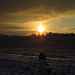 Eiskalter Sonnenuntergang auf dem Feld.<br /><br />Tramonto gelido sul campo.