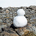 Self-made snow man :)