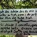 Gruß vom Hirt