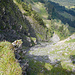 Unterwegs am Grat mit Tiefblick zur Untersehren Alpe