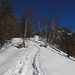 Iniziamo a risalire il crinale verso l'Alpe Leretta