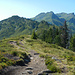 Durch Heidelbeer- und Alpenrosensträucher gehts vom Aussichtspunkt "Weißplatte" hinüber zum Gantekopf.