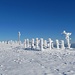 ... Gipfelkreuz-"Studie" 5 - welch fantastische winterlich-eisige Hochebene!