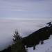 Blick vom Kronberg auf das Nebelmeer,...