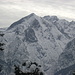 Blick aus dem Bergwald zur Alpspitze