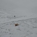Im Zugang zum Großen Lachtal sind die Wiesen ziemlich vom Schnee "befreit" - Luca stört dies aber überhaupt nicht