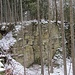 Im Wald