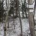 An der ehemaligen Burg Fürstenstein ( 874m )